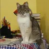 Отзыв от Роза Злобина